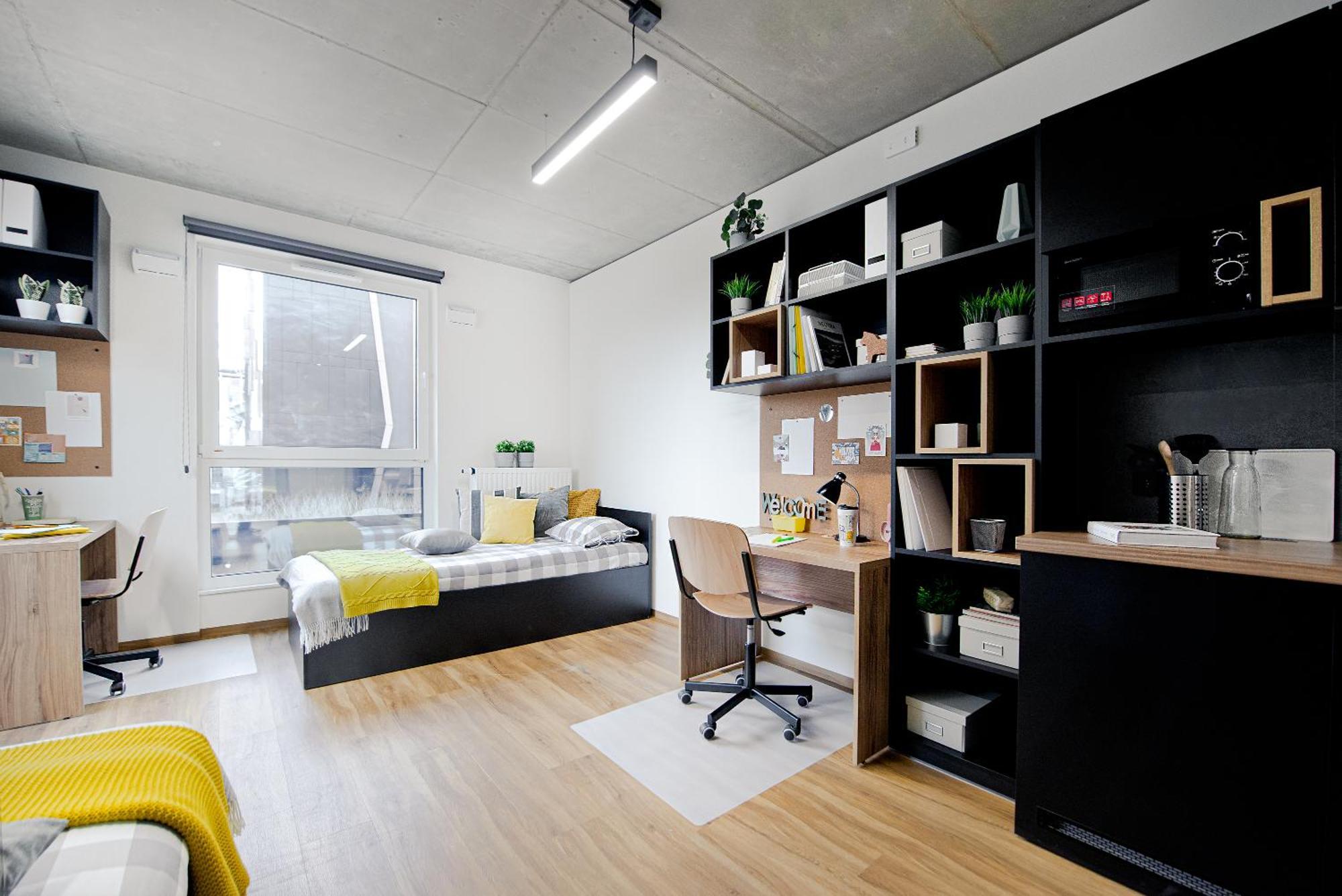 Shed Living Краків